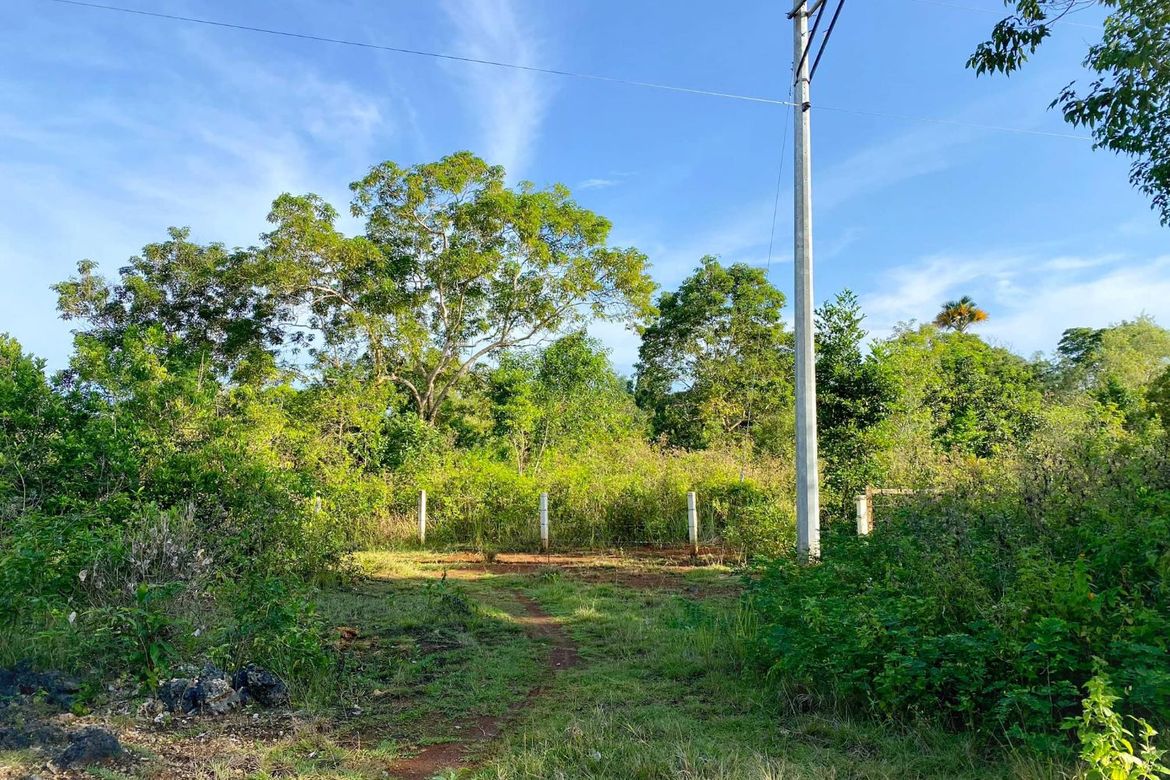Land for Sale in Libaong, Panglao, Bohol – photo 3