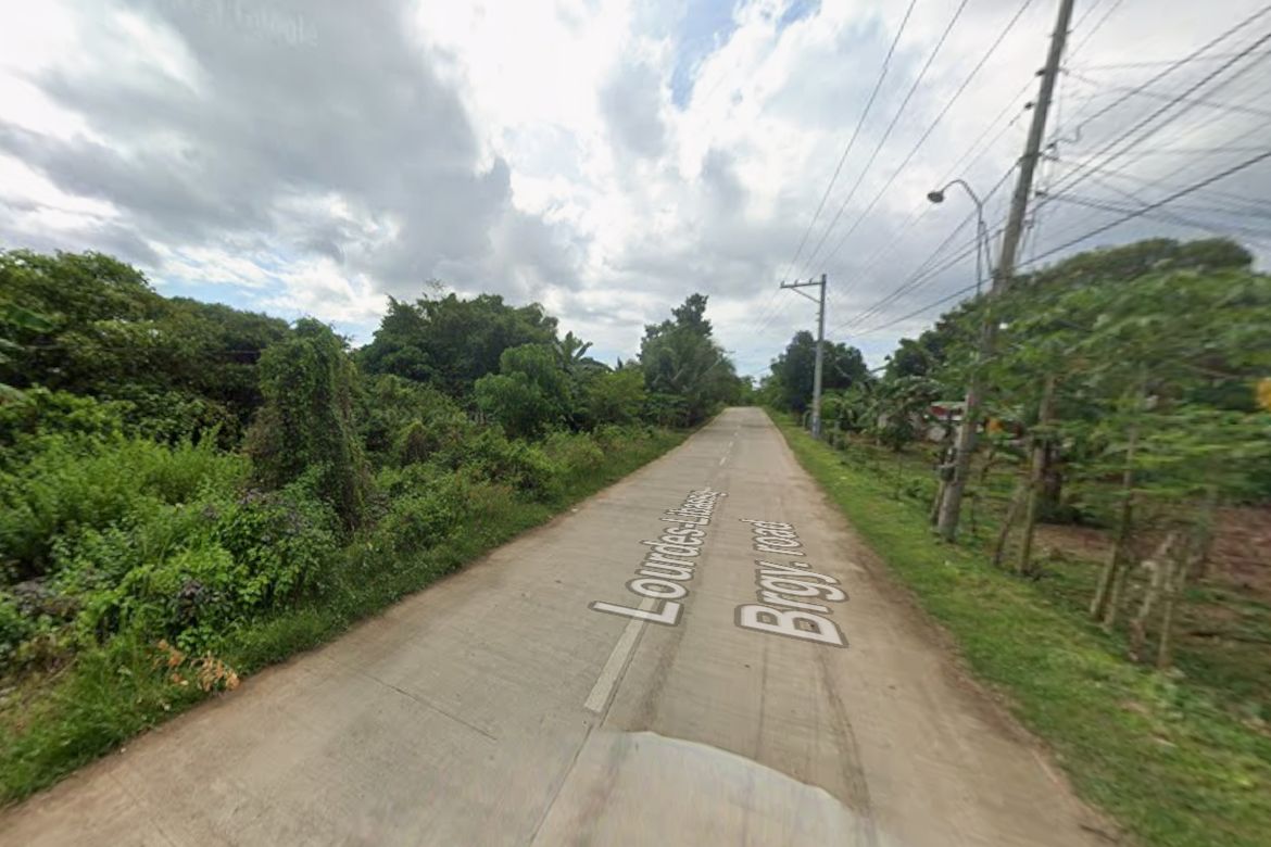 Land for Sale in Libaong, Panglao, Bohol