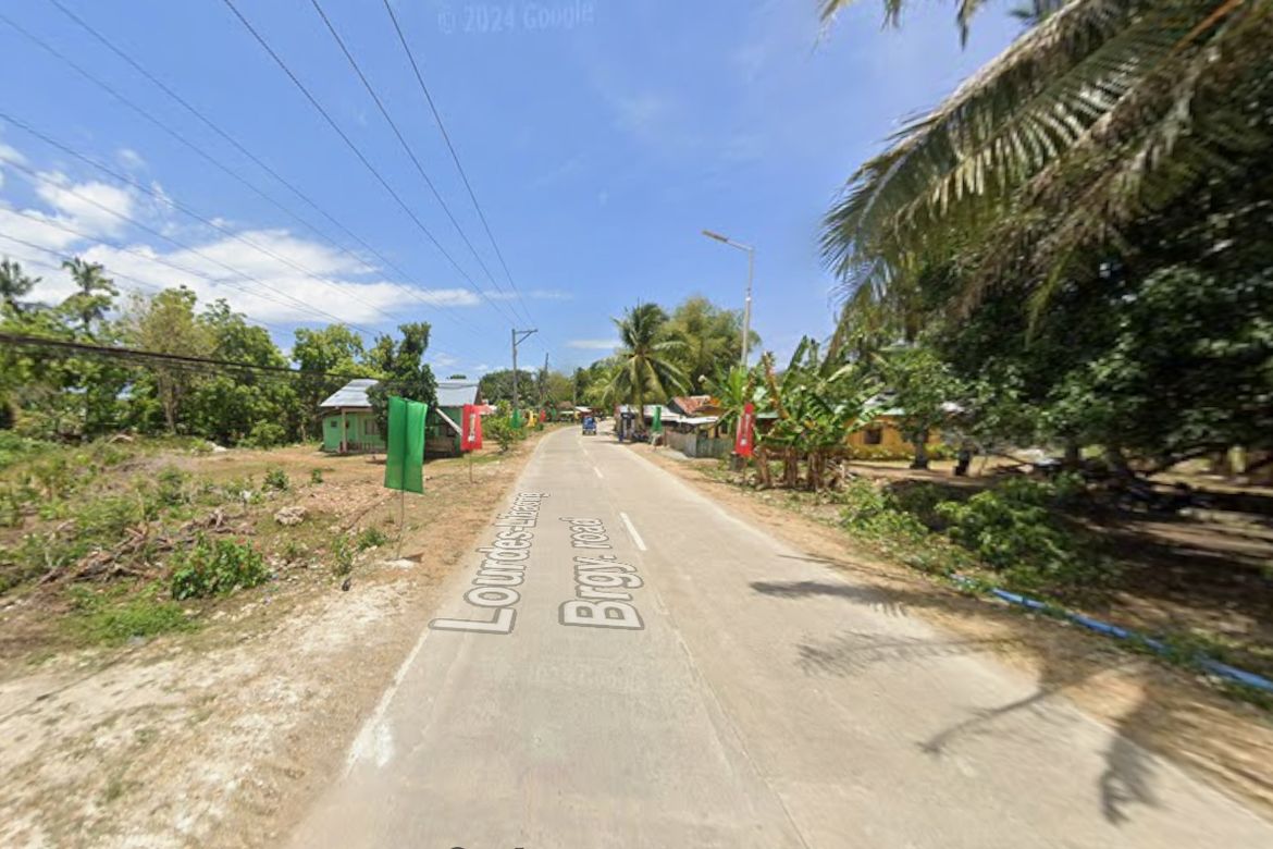 Land for Sale in Libaong, Panglao, Bohol – photo 2