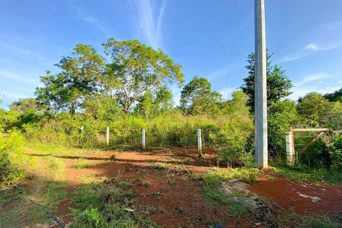 Land for Sale in Libaong, Panglao, Bohol – photo 6