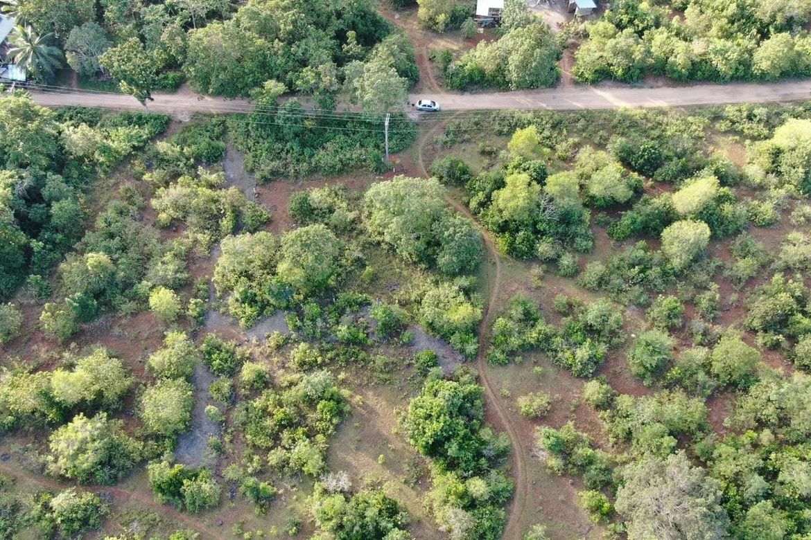 Land for Sale in Libaong, Panglao, Bohol – photo 8