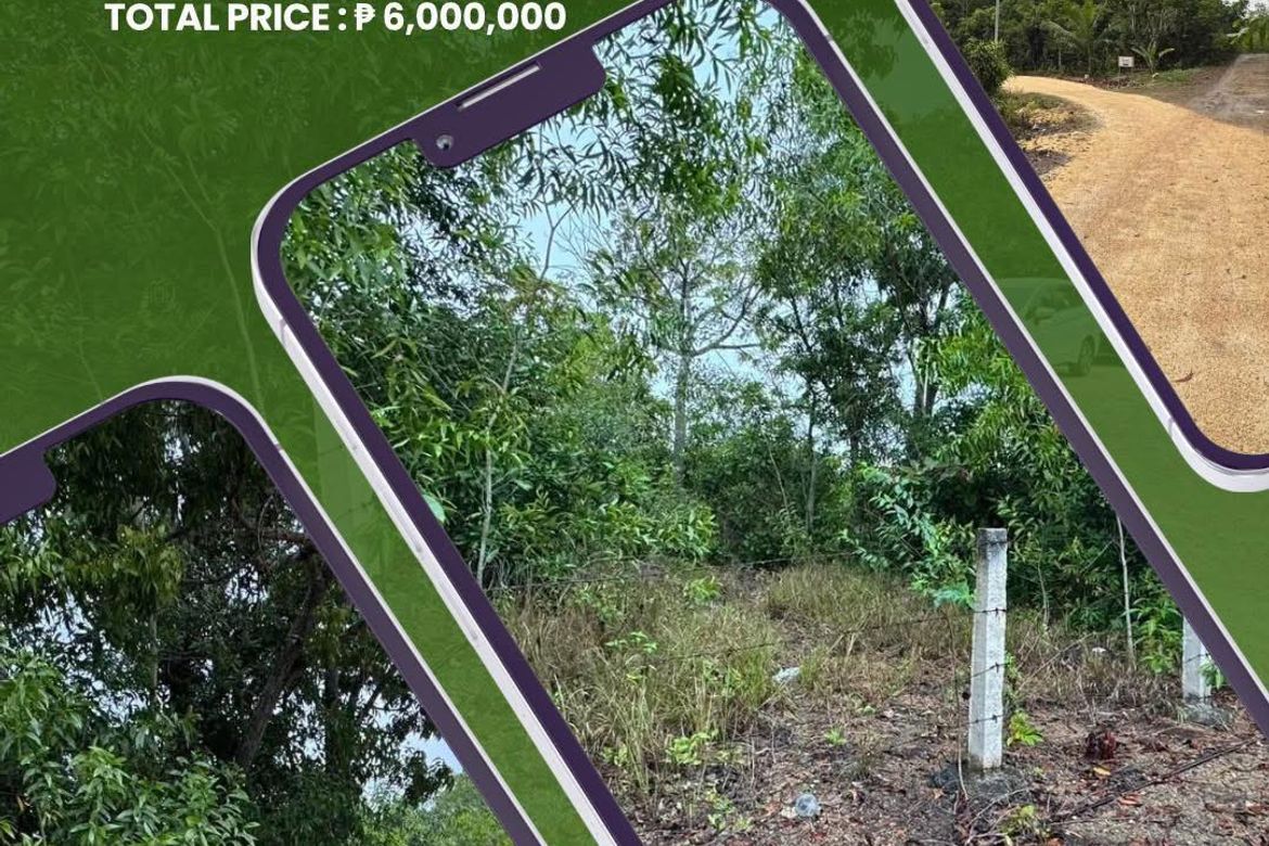 Land for Sale in Libaong, Panglao, Bohol
