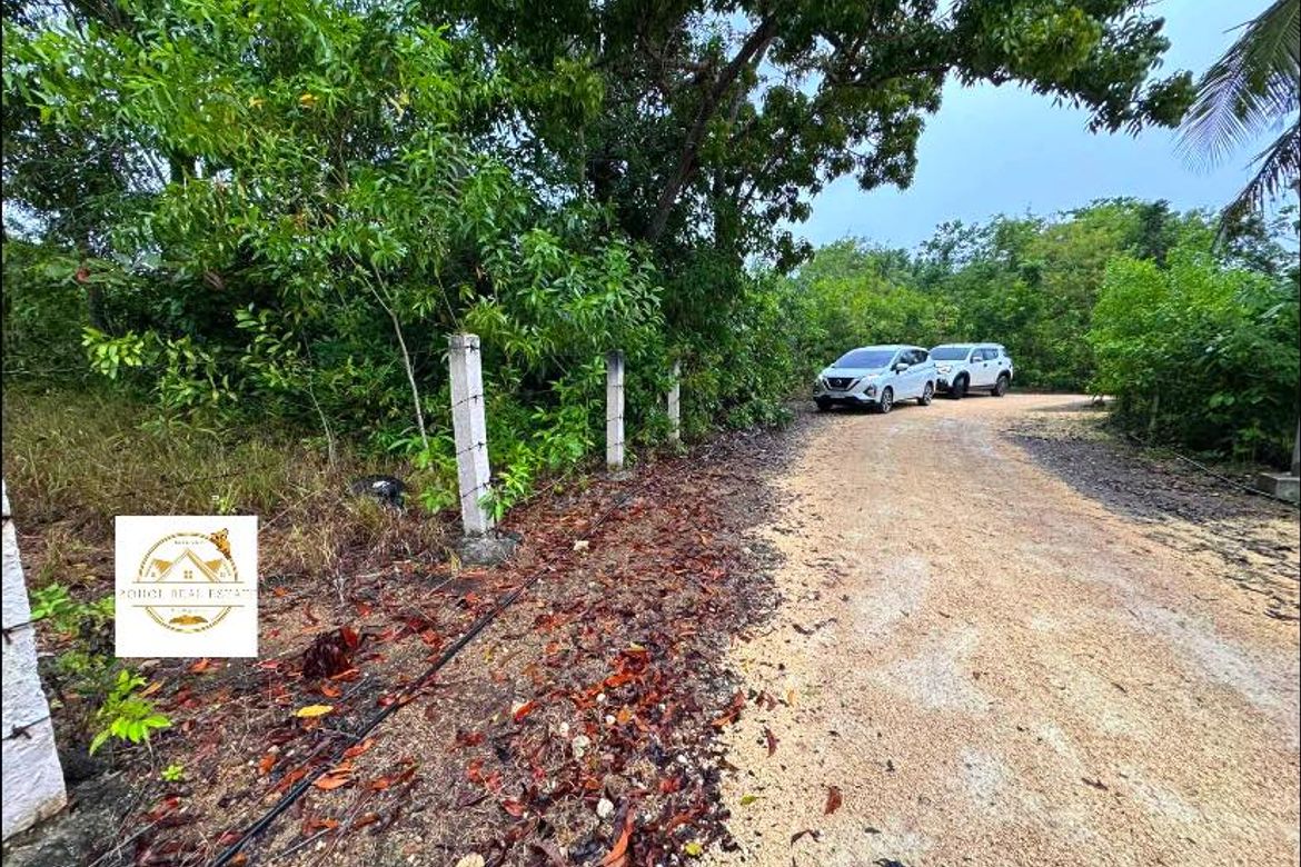 Land for Sale in Libaong, Panglao, Bohol – photo 2