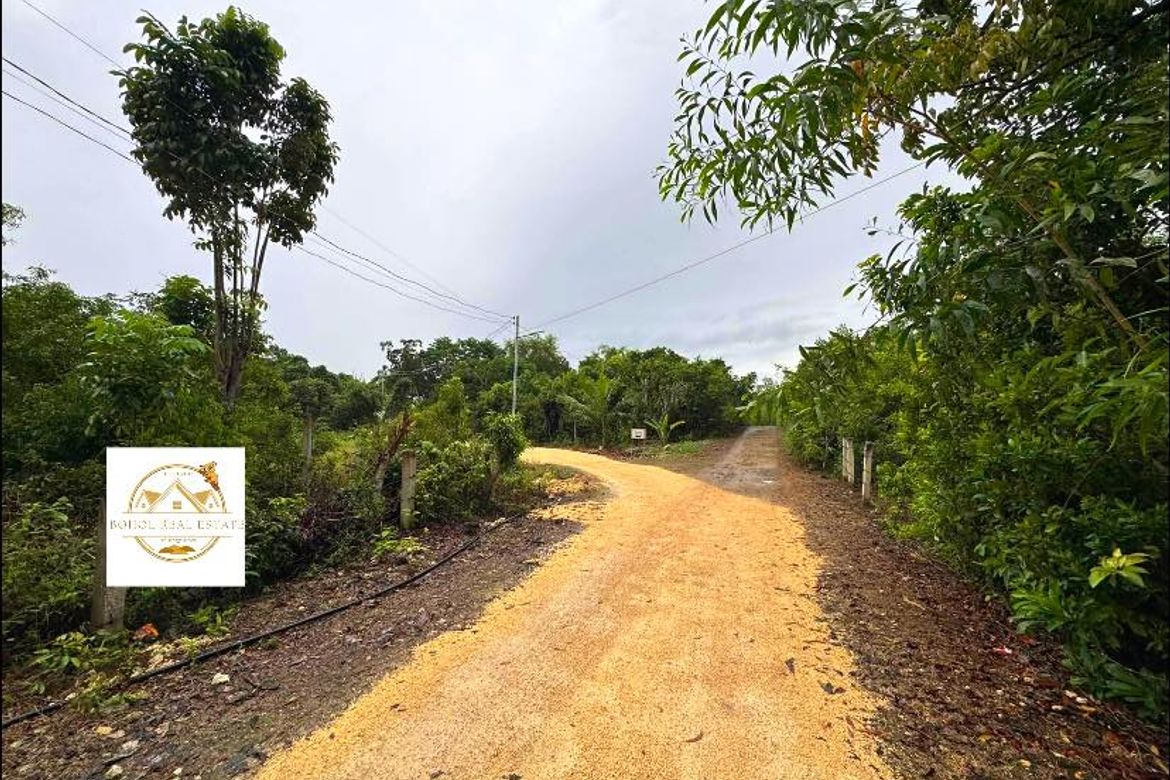 Land for Sale in Libaong, Panglao, Bohol – photo 5