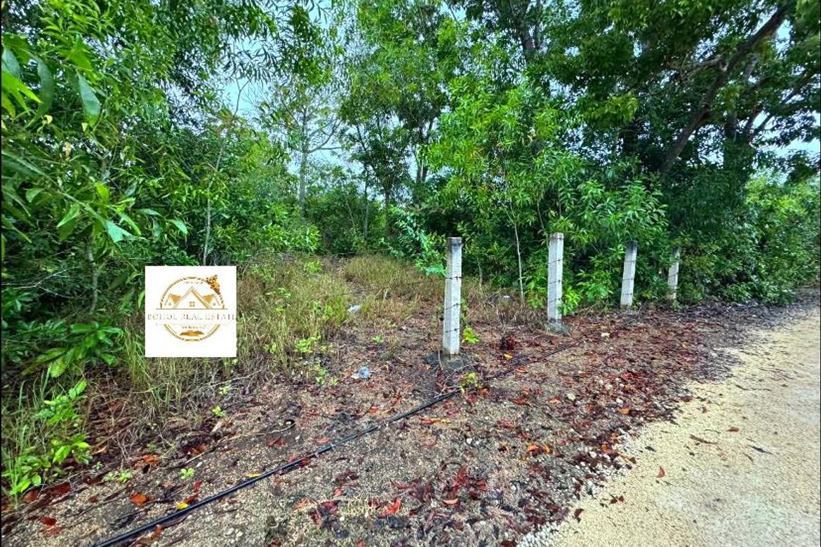 Land for Sale in Libaong, Panglao, Bohol – photo 8