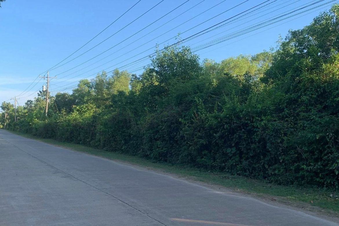 Land for Sale in Libaong, Panglao, Bohol – photo 4