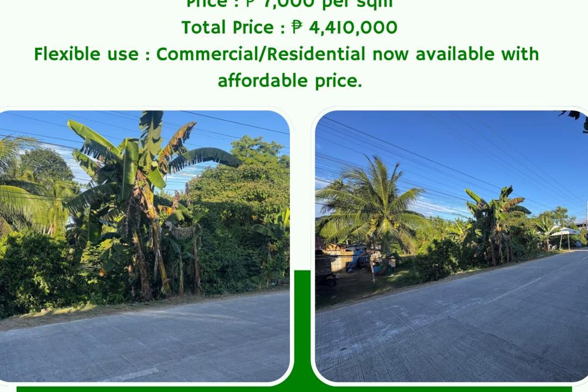 Land for Sale in Libaong, Panglao, Bohol