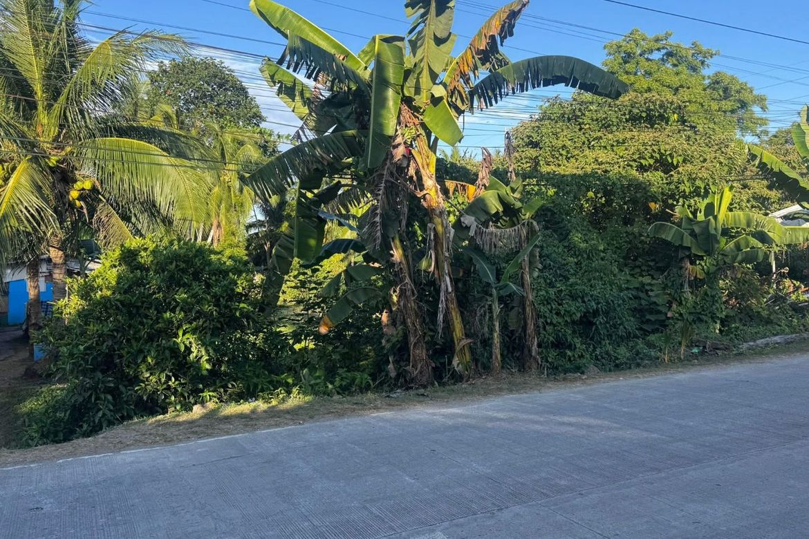 Land for Sale in Libaong, Panglao, Bohol – photo 3