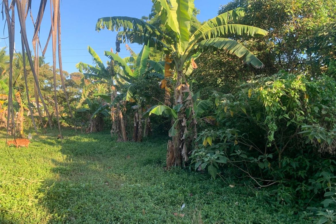Land for Sale in Libaong, Panglao, Bohol – photo 7