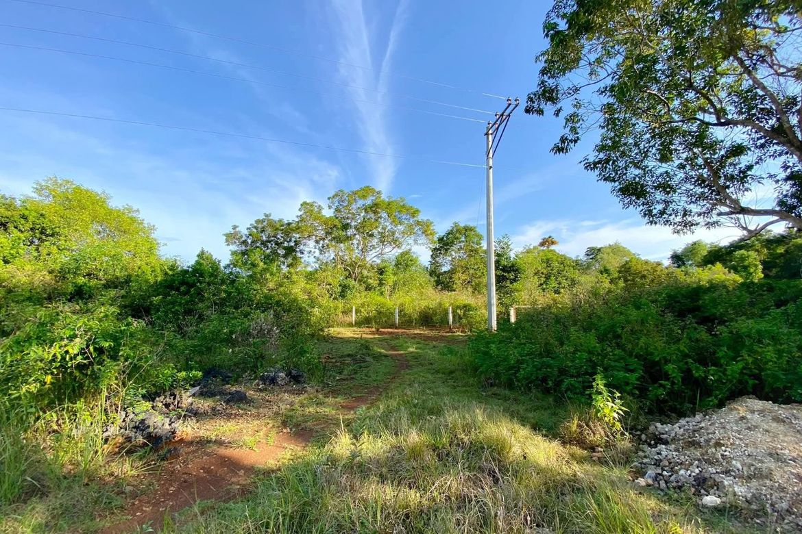 Land for Sale in Libaong, Panglao, Bohol