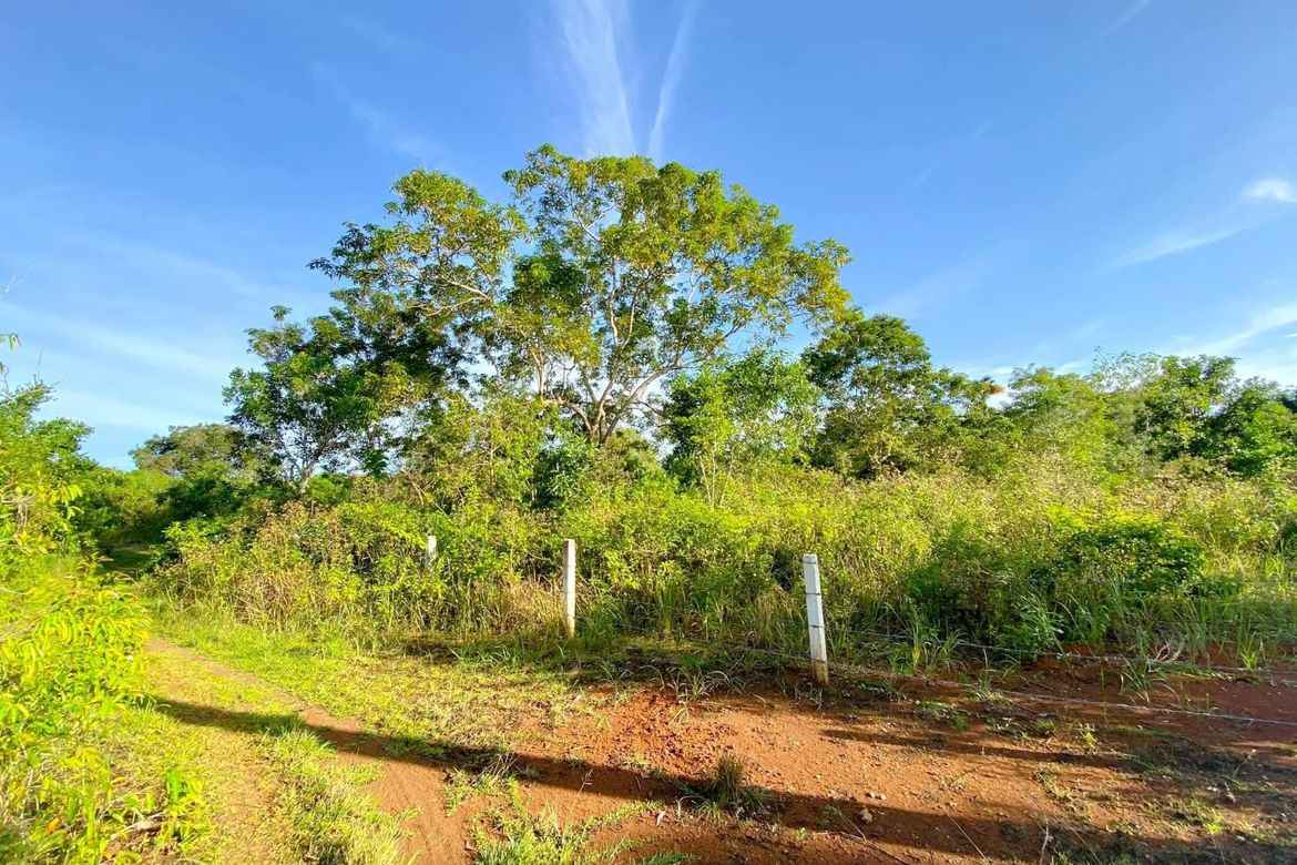 Land for Sale in Libaong, Panglao, Bohol – photo 2