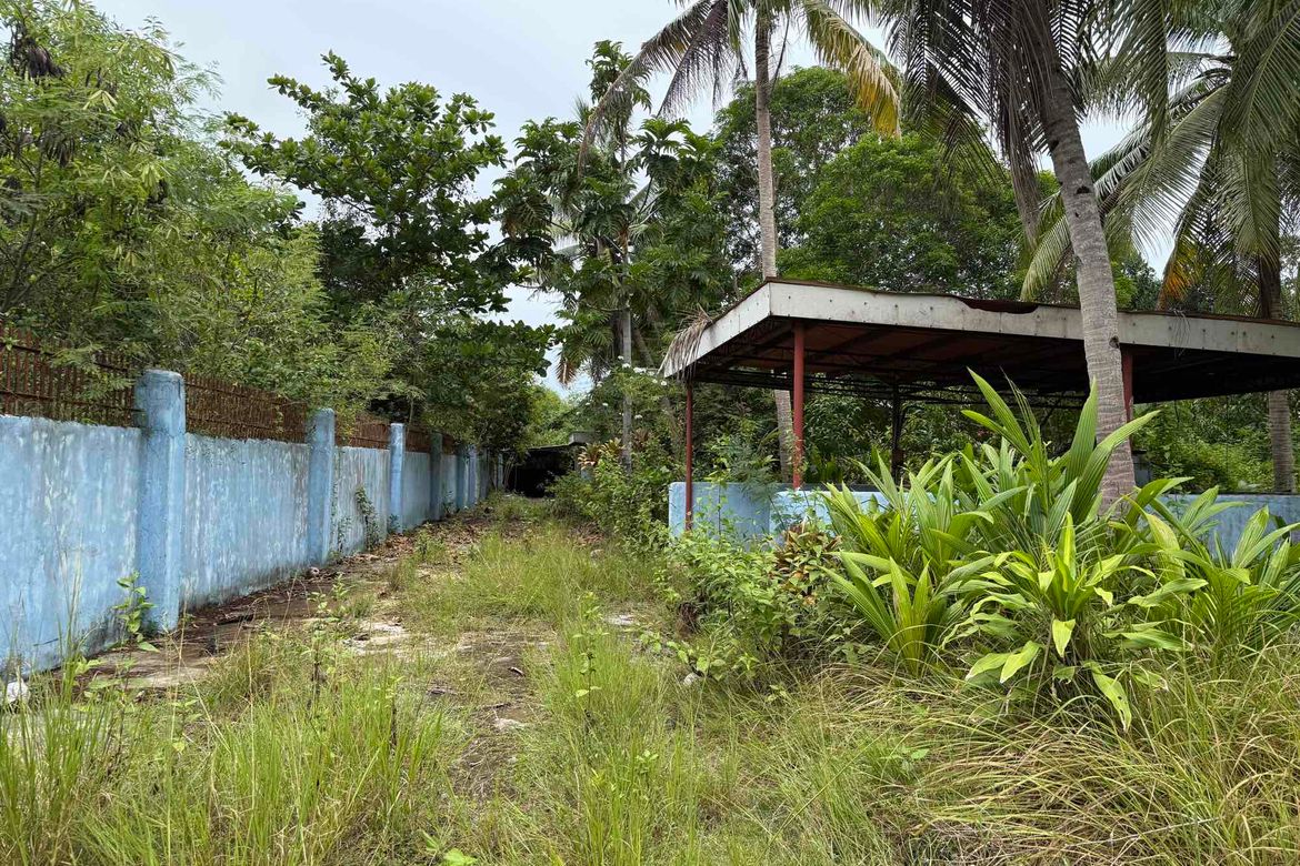 Land for Sale in Libaong, Panglao, Bohol – photo 2