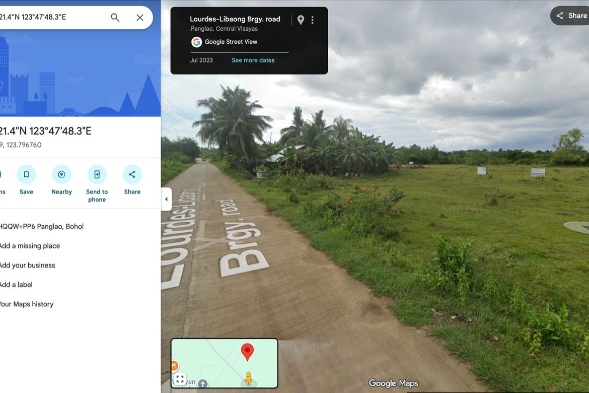 Land for Sale in Libaong, Panglao, Bohol – photo 2
