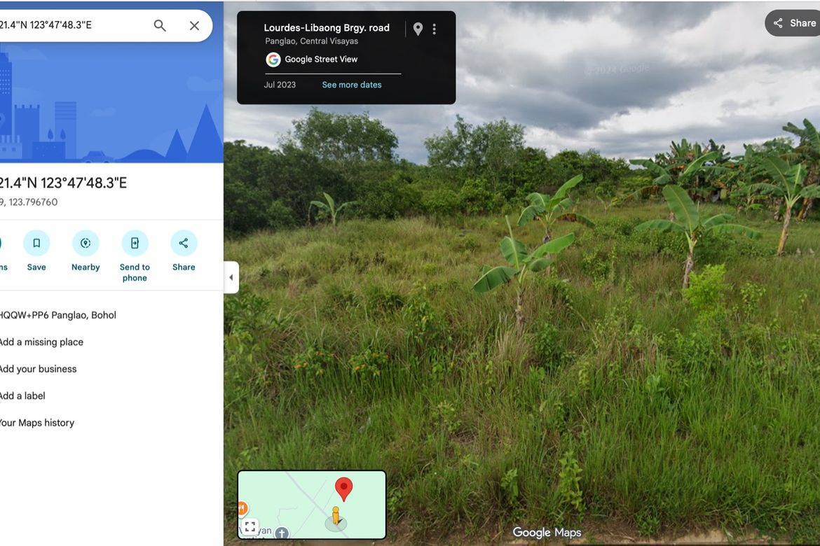 Land for Sale in Libaong, Panglao, Bohol – photo 4