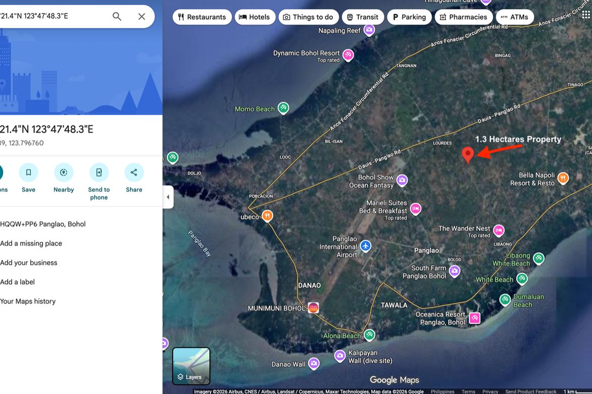 Land for Sale in Libaong, Panglao, Bohol – photo 6