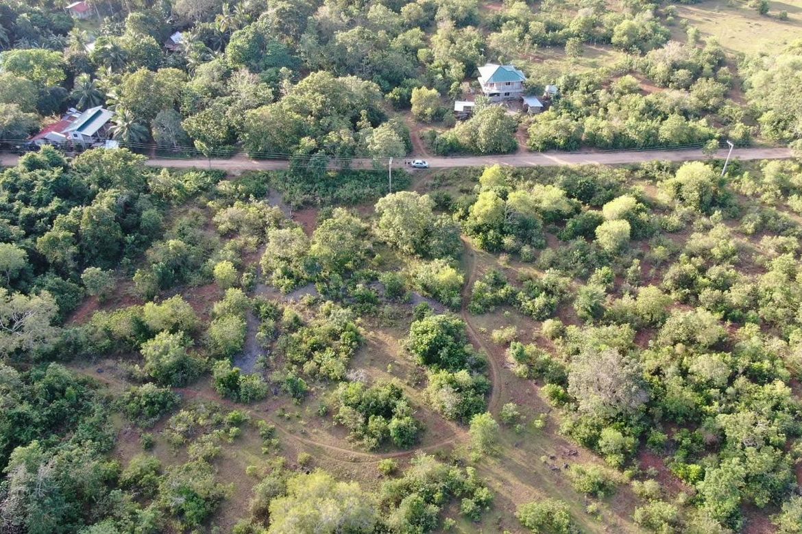 Land for Sale in Libaong, Panglao, Bohol – photo 8