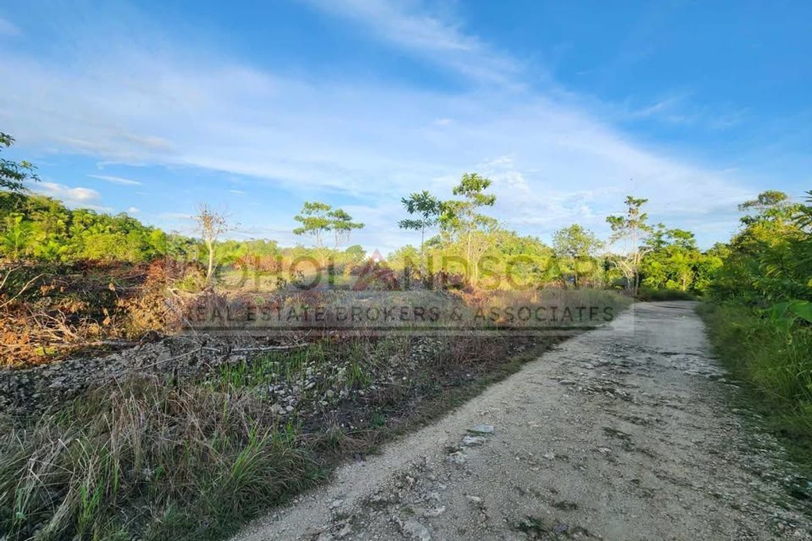 Land for Sale in Libertad, Baclayon, Bohol