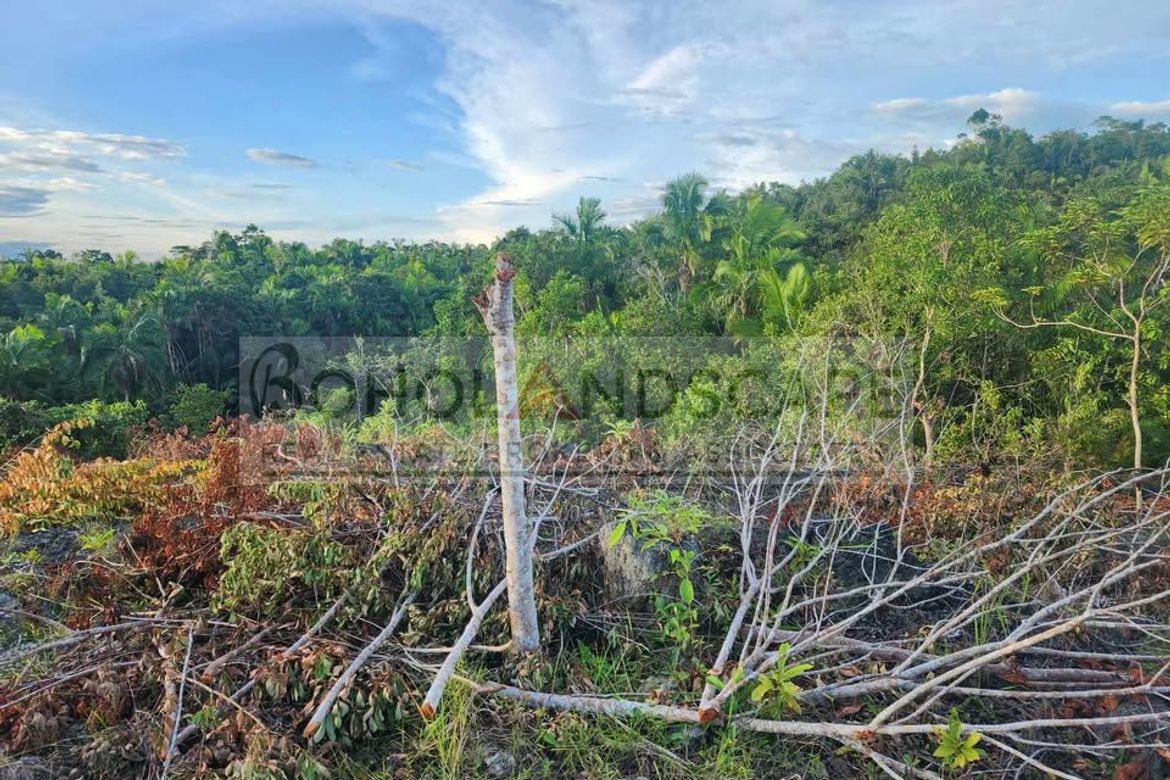 Land for Sale in Libertad, Baclayon, Bohol – photo 3