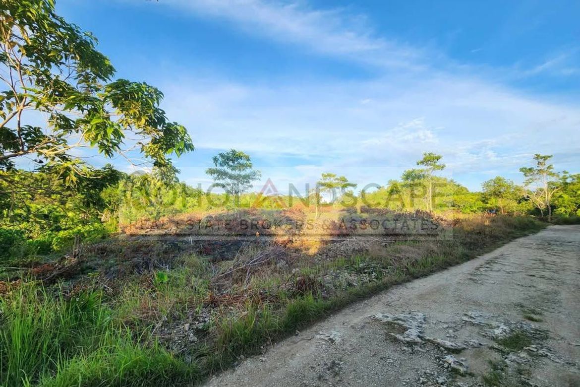 Land for Sale in Libertad, Baclayon, Bohol – photo 4