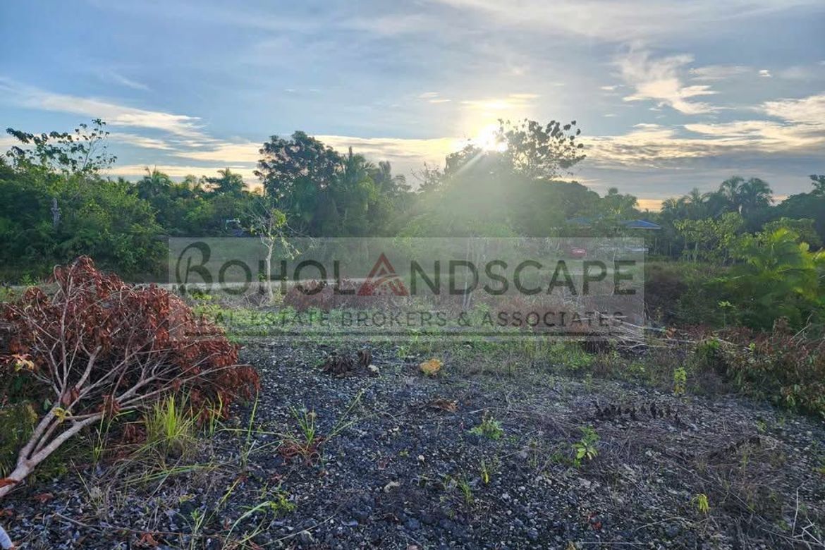 Land for Sale in Libertad, Baclayon, Bohol – photo 7