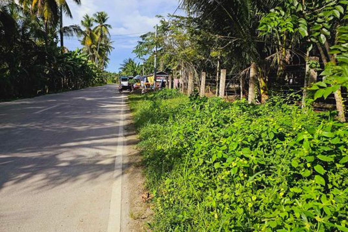 Land for Sale in Libertad, Bogo, Cebu