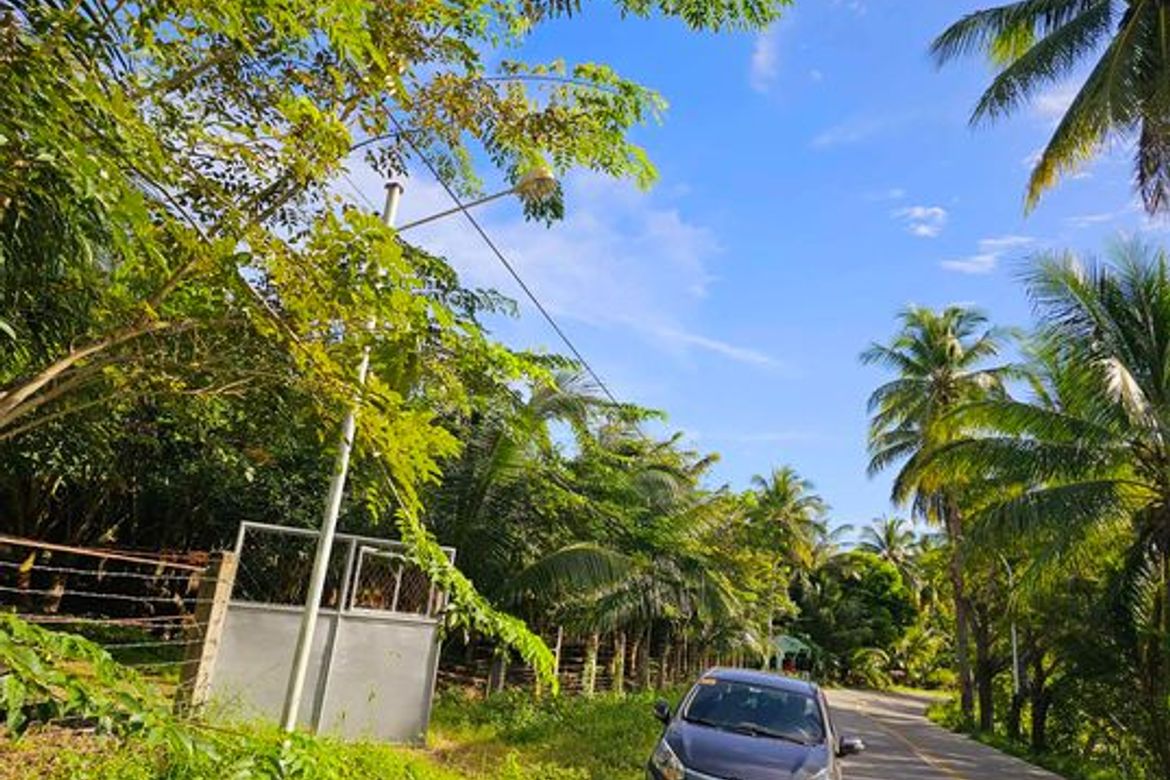 Land for Sale in Libertad, Bogo, Cebu – photo 6