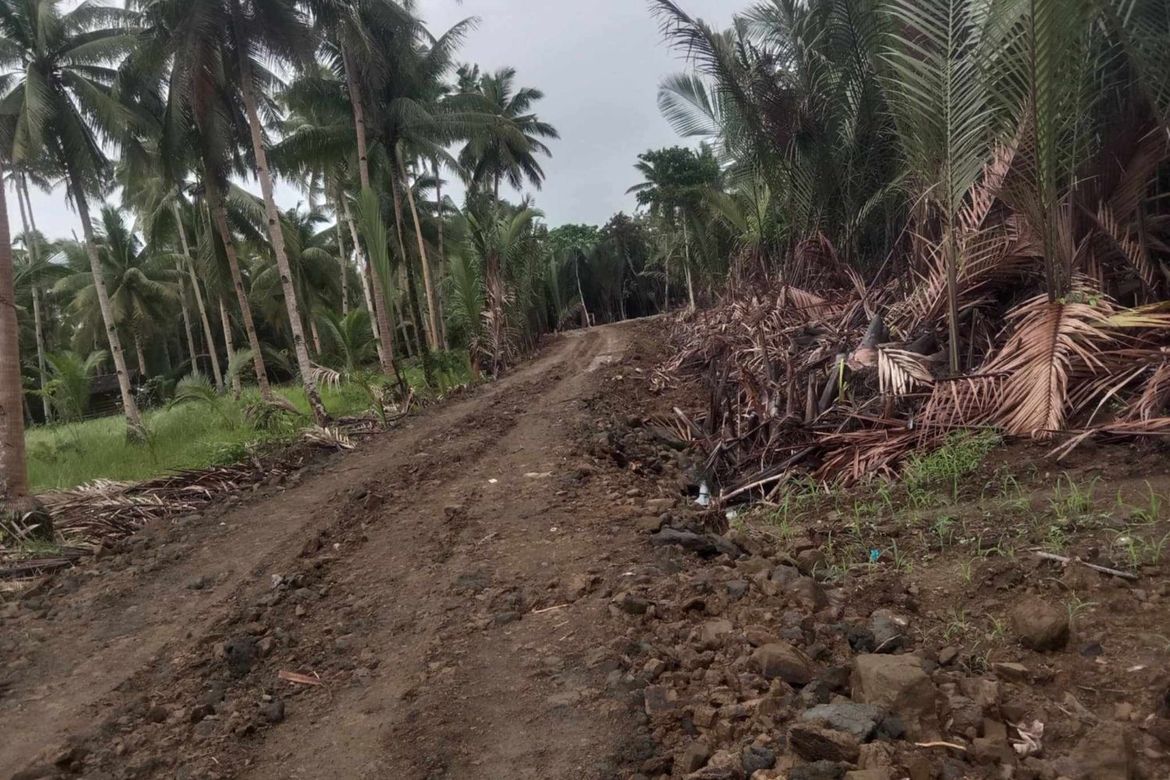 Land for Sale in Libertad, Butuan, Agusan del Norte – photo 2