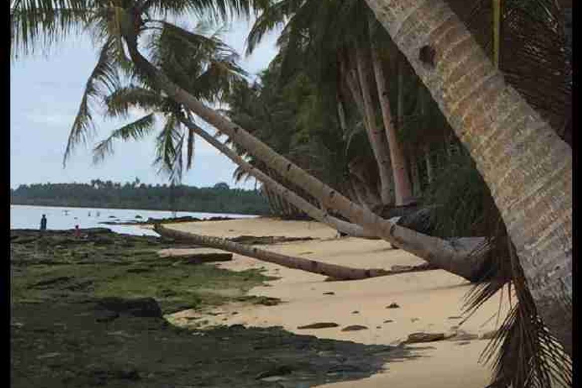 Land for Sale in Libertad, General Luna, Surigao del Norte