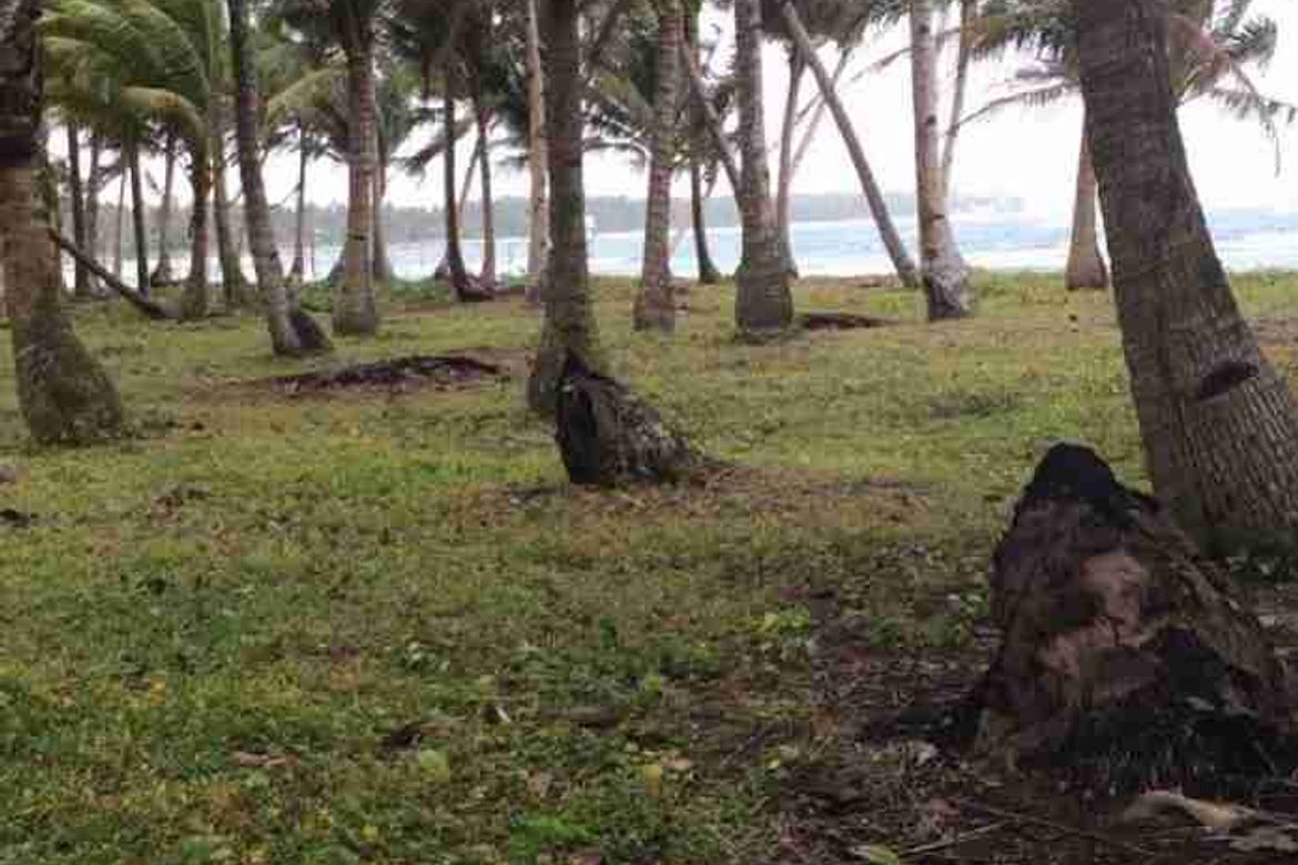 Land for Sale in Libertad, General Luna, Surigao del Norte – photo 3