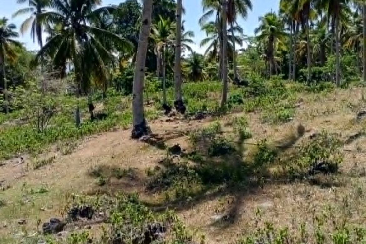 Land for Sale in Libertad, Samal, Davao del Norte – photo 2
