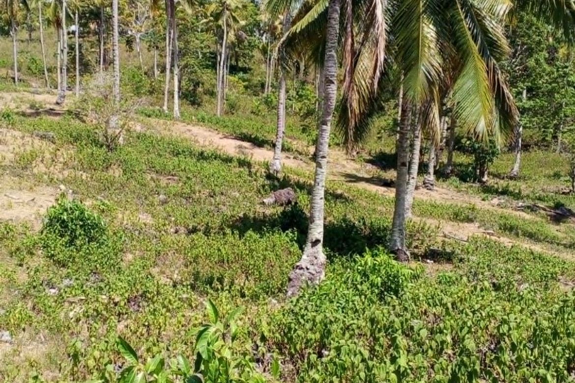 Land for Sale in Libertad, Samal, Davao del Norte – photo 5
