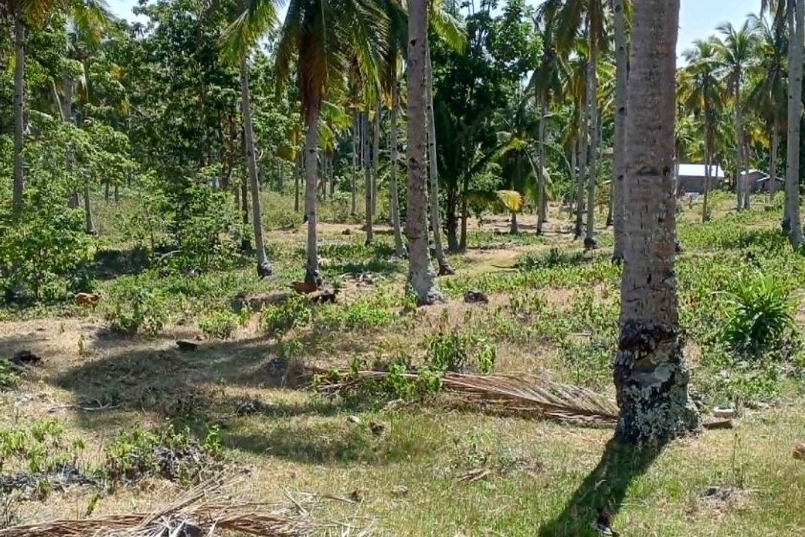 Land for Sale in Libertad, Samal, Davao del Norte – photo 6