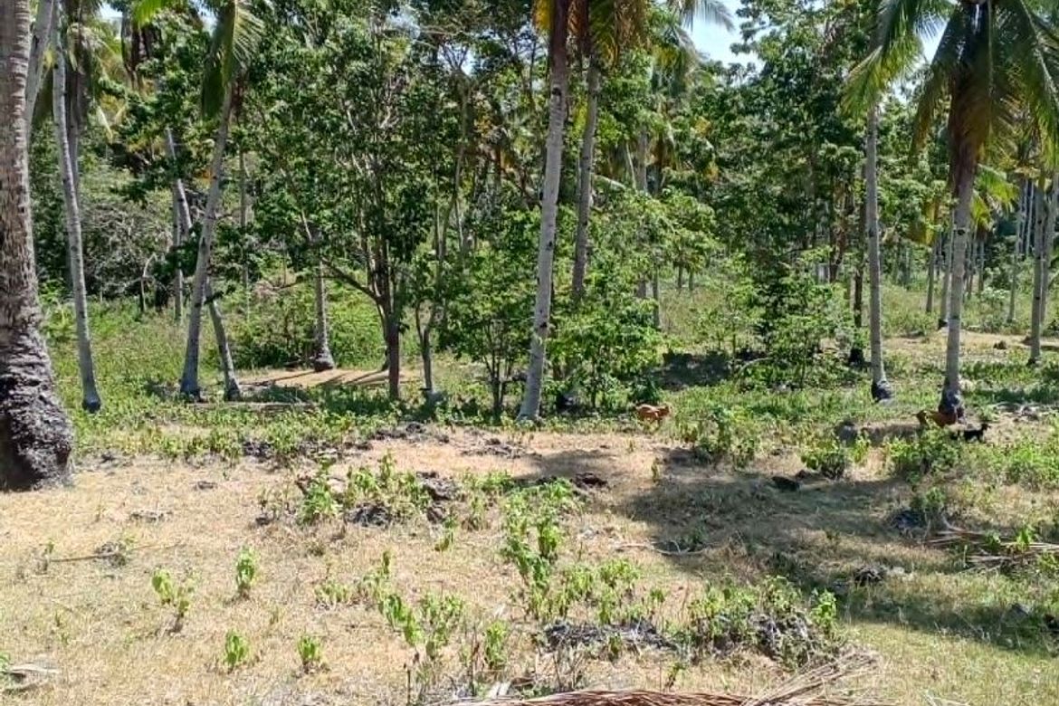 Land for Sale in Libertad, Samal, Davao del Norte – photo 7