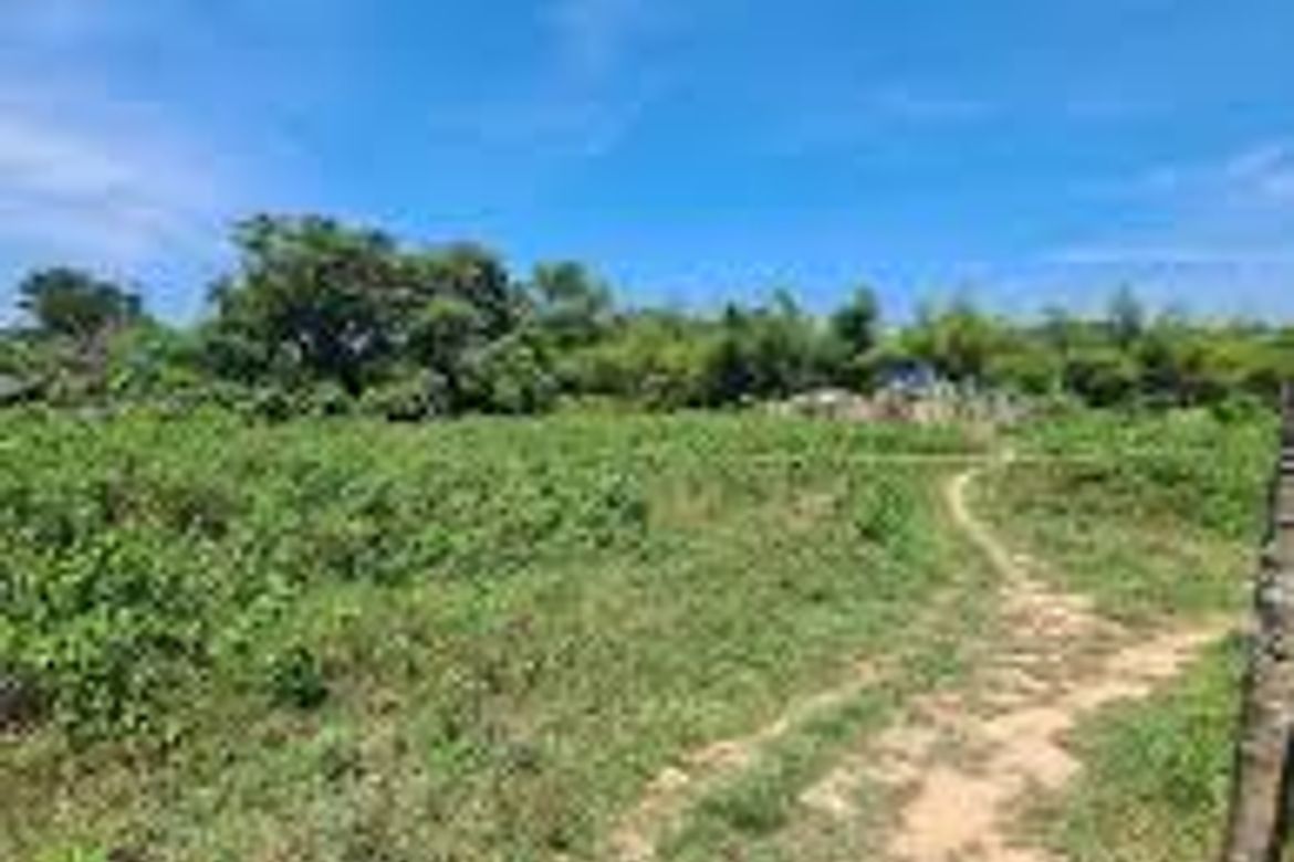 Land for Sale in Libertad, Taytay, Palawan