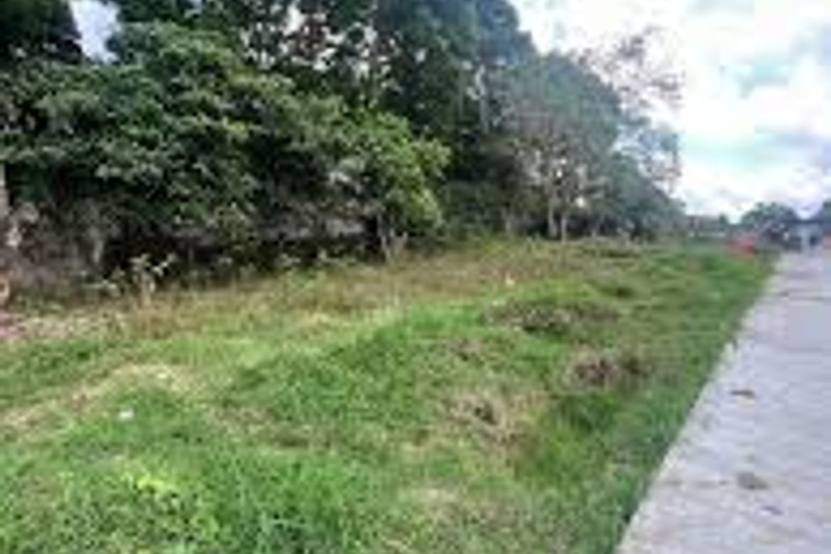 Land for Sale in Libertad, Taytay, Palawan – photo 2