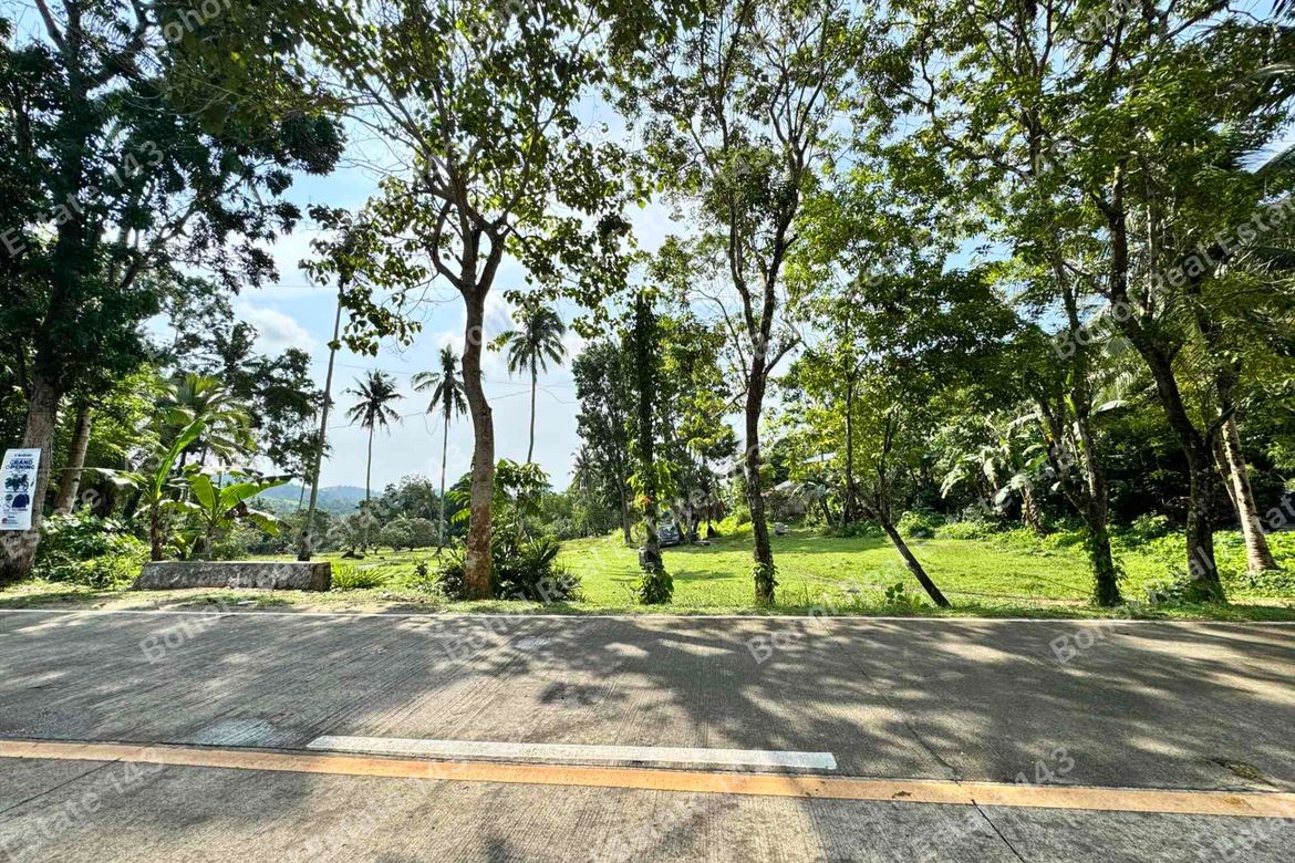 Land for Sale in Libertad, Tubigon, Bohol
