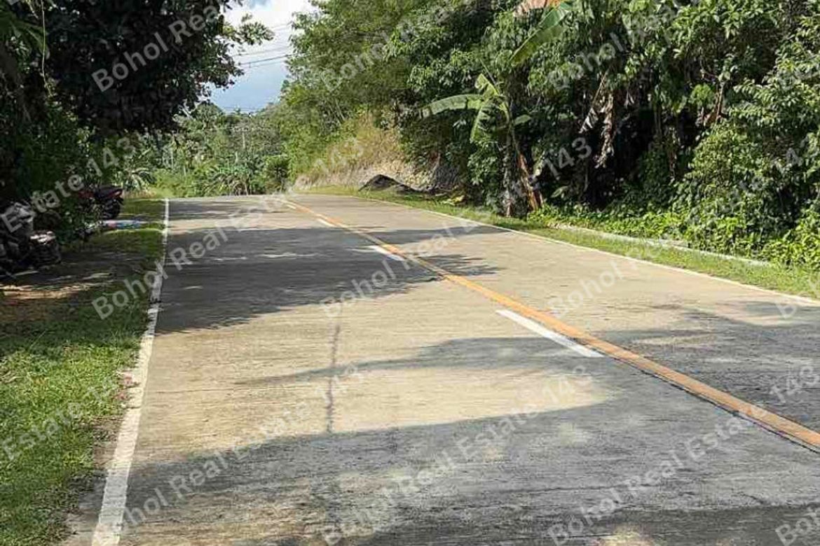 Land for Sale in Libertad, Tubigon, Bohol – photo 2