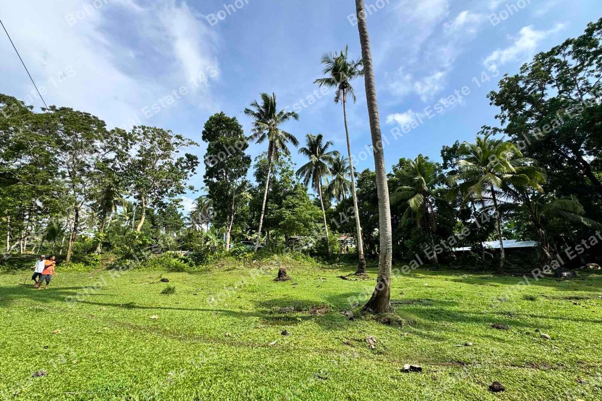Land for Sale in Libertad, Tubigon, Bohol – photo 3