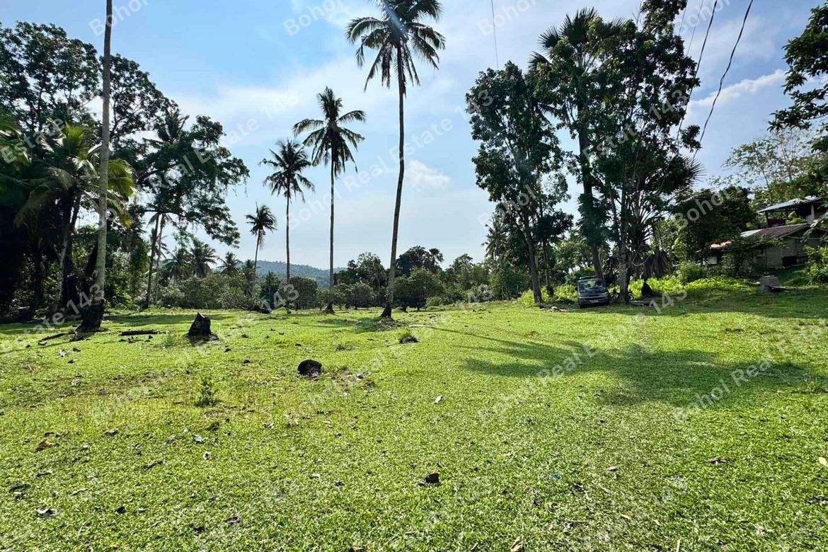 Land for Sale in Libertad, Tubigon, Bohol – photo 5