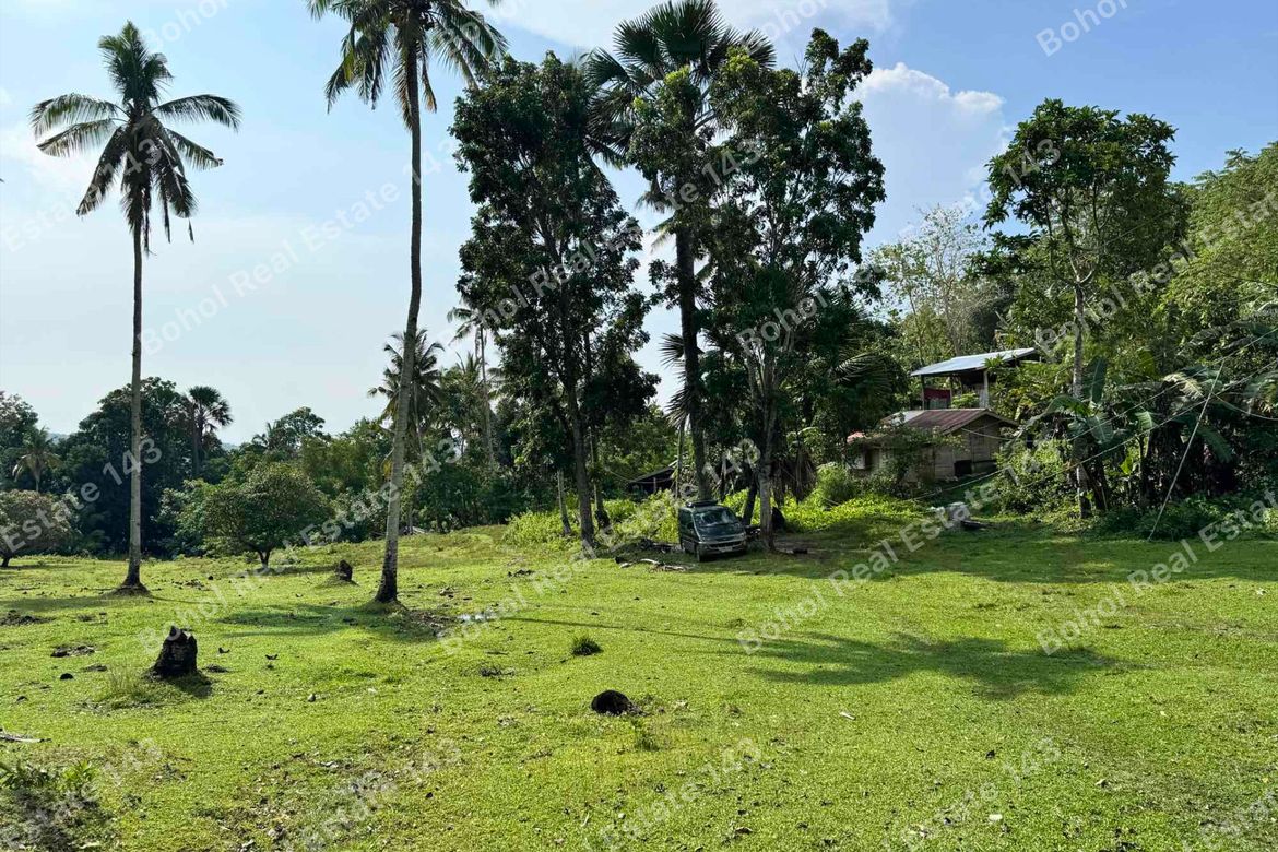 Land for Sale in Libertad, Tubigon, Bohol – photo 7