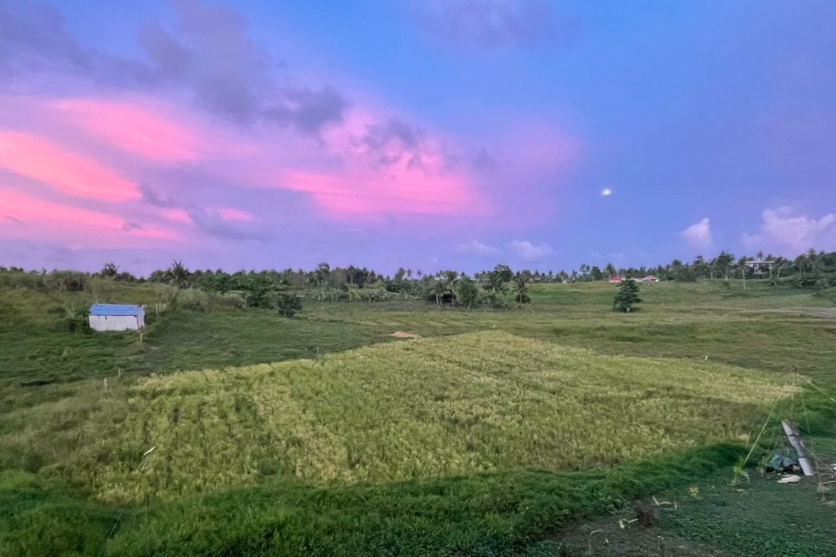 Land for Sale in Libertad Valley Estates, Libertad, General Luna, Surigao del Norte – photo 6