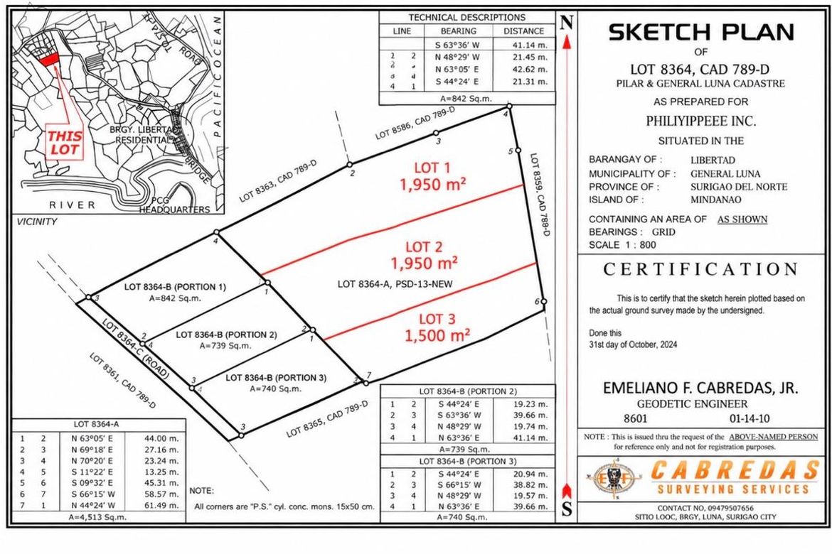 Land for Sale in Libertad Valley Estates, Libertad, General Luna, Surigao del Norte – photo 8