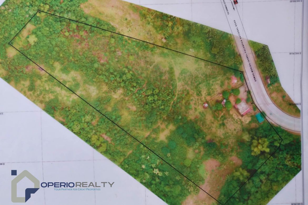 Land for Sale in Libjo, Merida, Leyte – photo 2