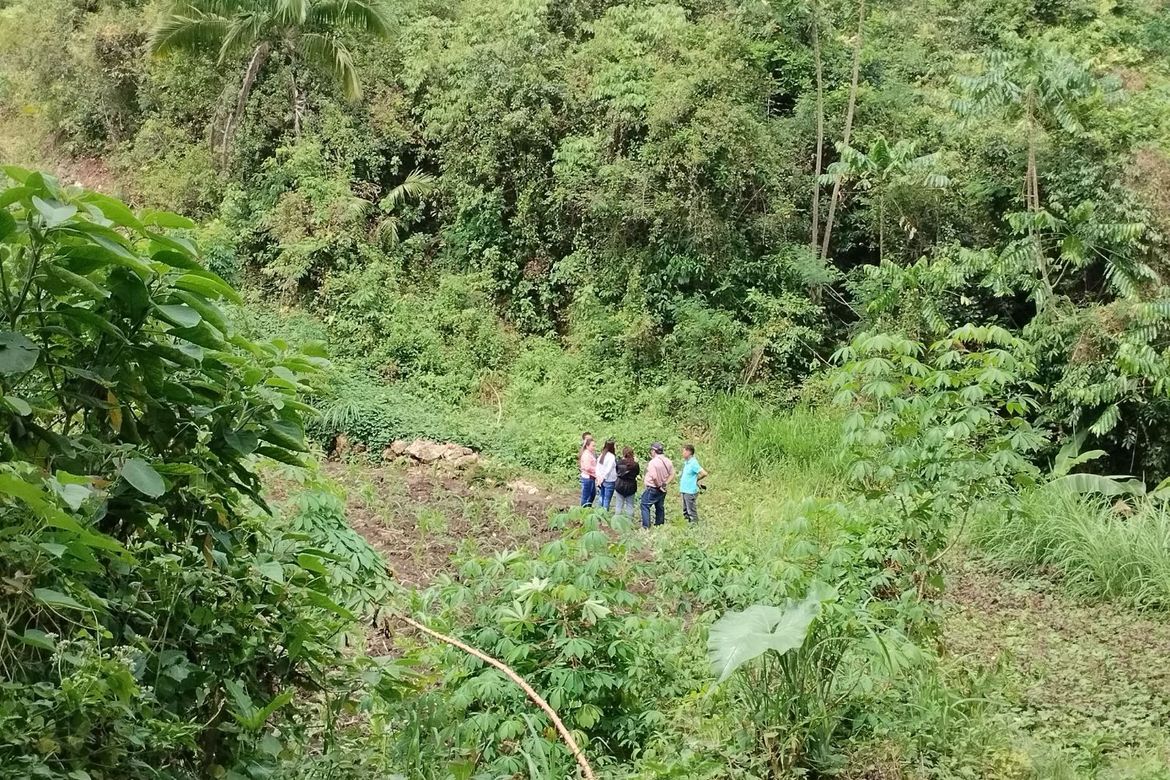 Land for Sale in Libjo, Tabogon, Cebu