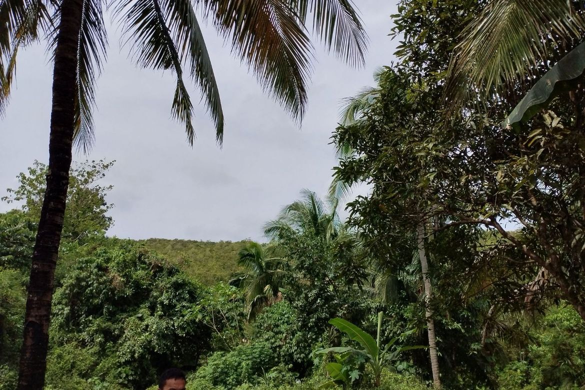 Land for Sale in Libjo, Tabogon, Cebu – photo 7