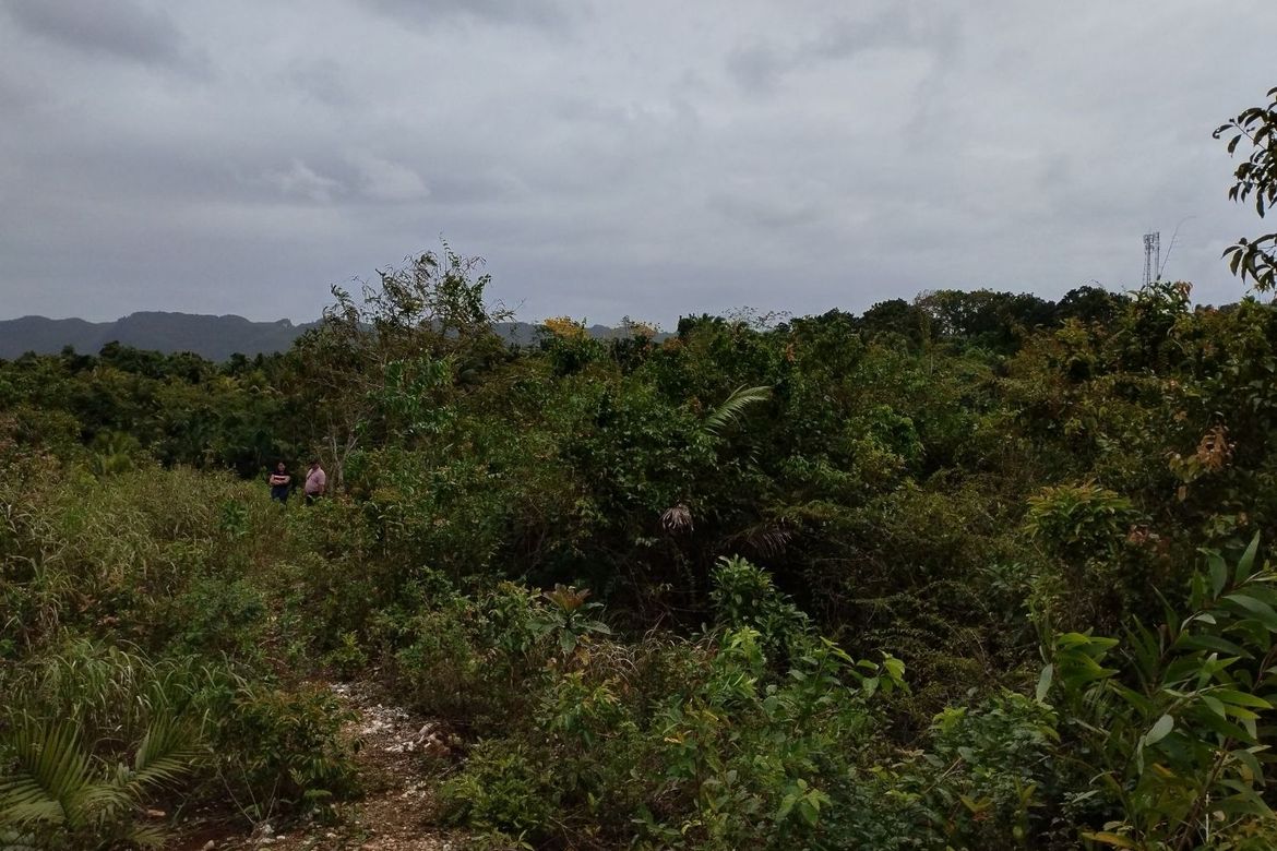 Land for Sale in Libjo, Tabogon, Cebu – photo 2