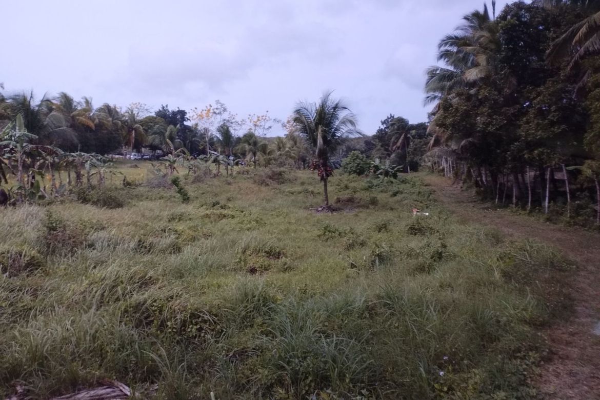 Land for Sale in Libjo, Tabogon, Cebu – photo 3