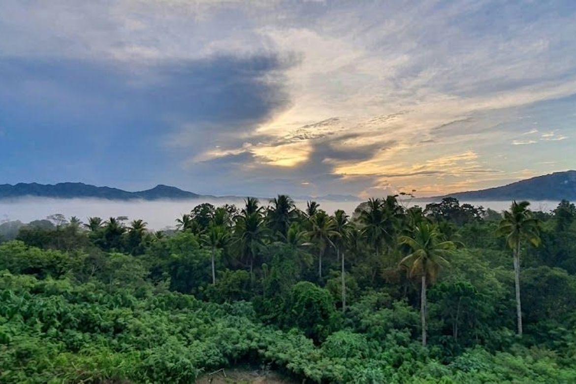 Land for Sale in Licup, Samal, Davao del Norte – photo 3