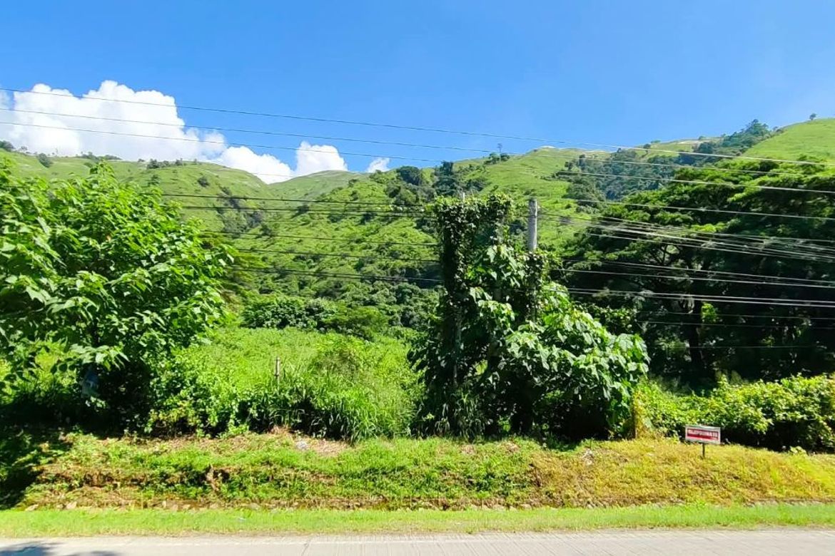 Land for Sale in Ligaya, Gabaldon, Nueva Ecija