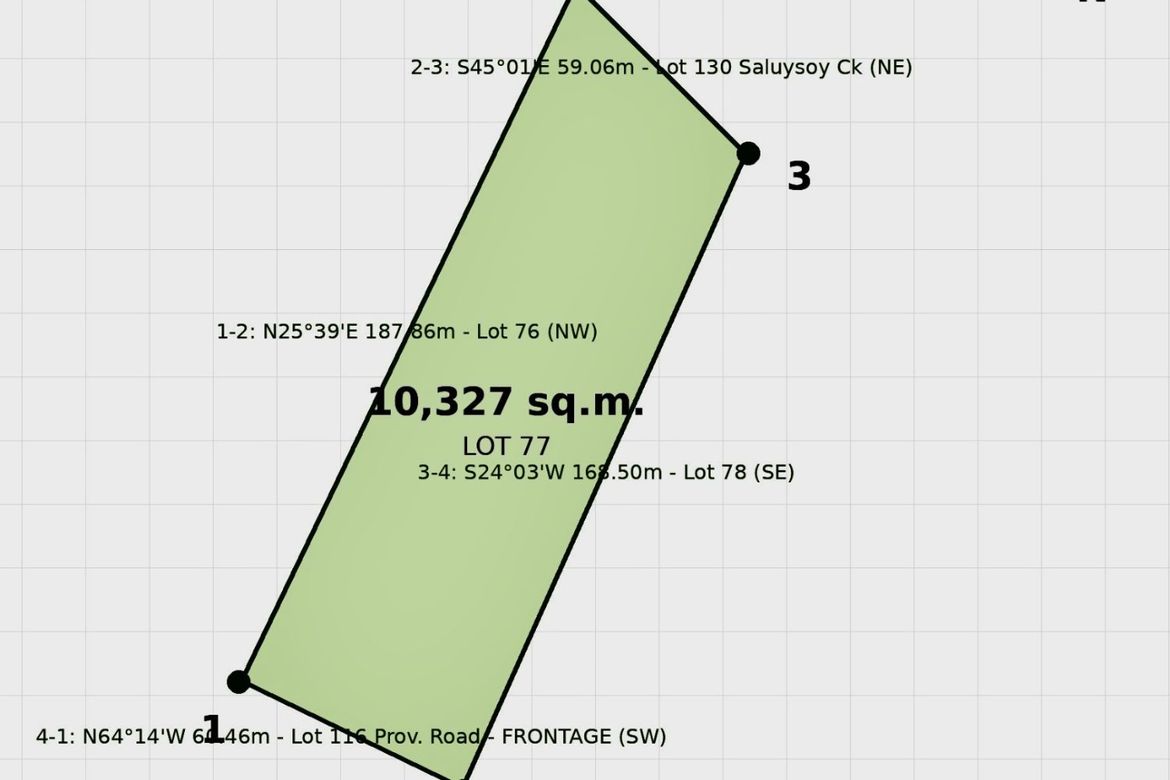 Land for Sale in Ligaya, Gabaldon, Nueva Ecija – photo 3